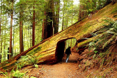 鱤ľ԰·: [ɽɽͼ5վ]ɽɽ+ľҹ԰+ɽںҹ԰+ɽҹ԰+ͼ