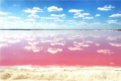 ·: [1] ۺ+ֱ | ɴˮͯ