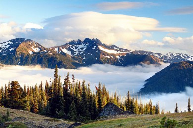 º·: ͼ 43|ƥ˹ҹ԰+ͼ+˾ŵٲ+¹