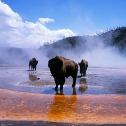 ˮ·: [ʯ԰8]ɼ+˹ά˹+ʯҹ԰+Źҹ԰+Ѩ++˹Ͽ+Ͽ