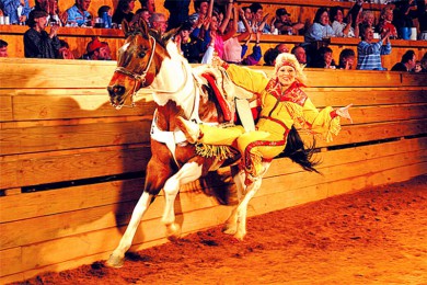 Ϸʢ·: [ɽ] ŦԼ---ɽҹ԰-챦ʯٲгƷϲζ