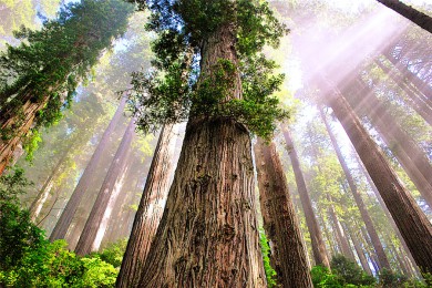 ·: [Ե3]ׯ+ľҹ԰+ɽҹ԰+ո|Ȼ