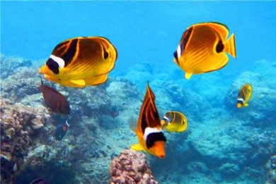 ·: [ȫĵ13]ŷ+ɰ++ï˵+++ɽ԰+ɹ·+| Ʊ