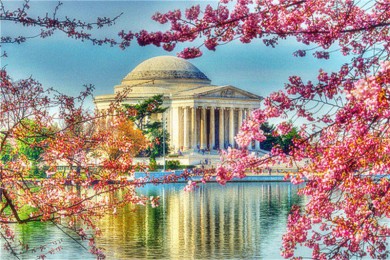 ض·: [3] ʢ+Ǽٲ+ض+|ӣٲ