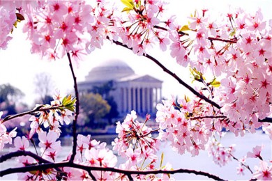 ߹԰·: [ƷС 7]  ŦԼ+ѳ+ʢ+Ǽٲ+ʿ|13