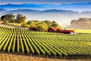 ˹·: [11] ɽɽ++ͼ++|ǹŹ۾𳵣֮