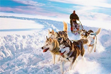 ˹ӹѩ·: [̽6] +Ȧ+Ѷ˹+Ȫ|סγ66ȼӪأ4μ۲⣬ͼгƱ