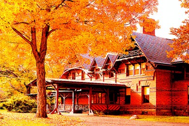 ظ·: [ͷ1] ʷ˹+¹ʾӲ+ʲڶ԰|ͷ֮ͯ