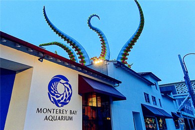 ˮ·: [ε1] ʮ壬տ÷СȤζˮ|һɫ֮