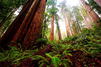 ￨·: [Ψ3] +ҹ԰+ľҹ԰+ɳ˹ѩɽ+ٲ|ɽԽ