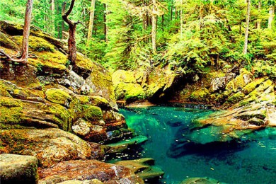 ػ߹㳡·: [ȫ12] +ʯ+ɽ+ɽ+ƥ5ҹ԰|ͼ˰¹Ʒʳ