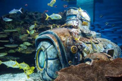 ˹·: [ˬ5] Ϥ+ƽ𺣰+˹+󱤽+Ļ|С