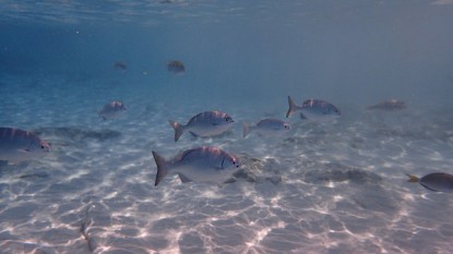 ../static/picture/detail_83_5d43ab7659c7a1.jpg