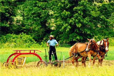 ɿ·: [1] ʢ+˹+˴+ɿ|С֮