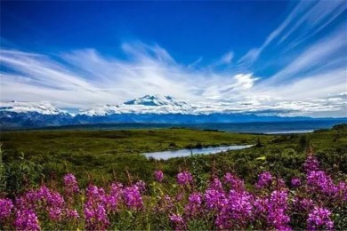 ׾·: [ļ]˹--Խ-ʥɽļ˹ӹҹ԰֮*180㲣񷶥۹г