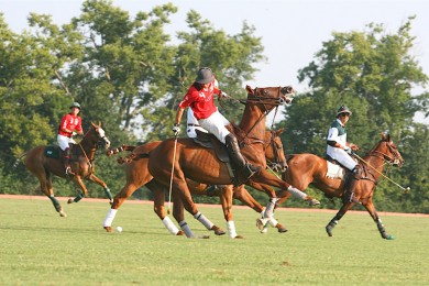 ·: [ζ8] °¶+¬ɽ+ɽ++նɴѧ|ׯ԰èʾӣ