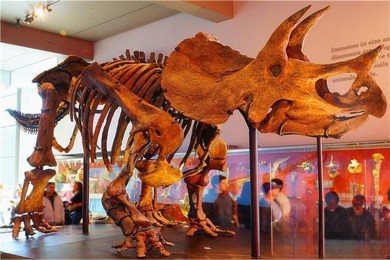 ɼ·: [ɽƷ1] ɼ+Ȼʷ+ǵ/屦