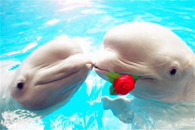 ׾·: [Ψ1] ֵ+׾+Ͽҹ԰|°ĽŲ ̽óڱ 羰·