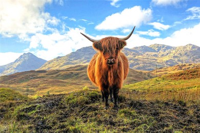 ·: [3] ʥ³˹++յ+ȹ|ոС