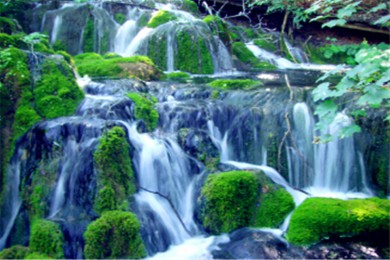 ˹·: 7죩[Ͷ뵺7]+޵+|Ͷɰ뵺ġ֮