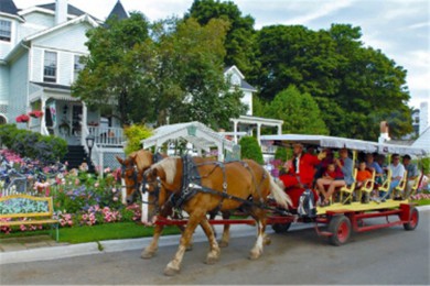 ׵·: [8] ֥Ӹ+ʥ·˹+++ֿϹʾ+ɵ|Ʒ;