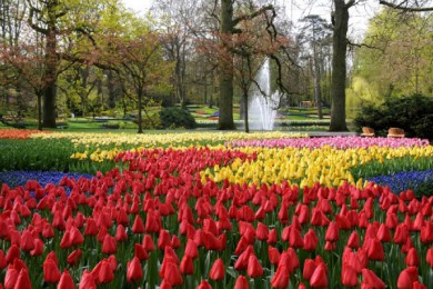 ķ˹ص·: [ͻŷ5] +¹+++˸+ķ˹ص|֮