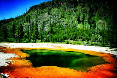 ԭղ·: [ʯ+޻19] SFOӻ+Ȼʯ+ϴ޻+ɼ Ͳֹҹ԰Ʊ|ȫ