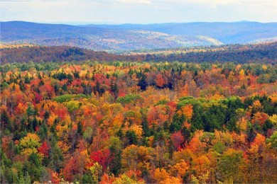 ʯ·: [ɫͷ7] VIP13СڣͷӢ|ڲι۹MIT