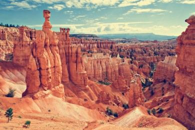 繰·: [12] ɽɽ+˹ά˹+ʯ԰+ɽ+ѩɶ+Ѩ|׽ӰӰ