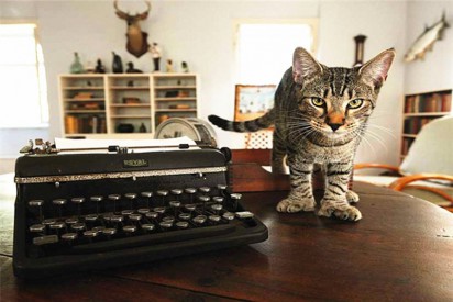 ../static/picture/detail_8_1352182979_us_fl_kw3.jpg