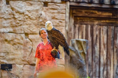 ϲ·: [ ƷС ܾ8]ҹ԰+++԰ɫѡ|԰֮