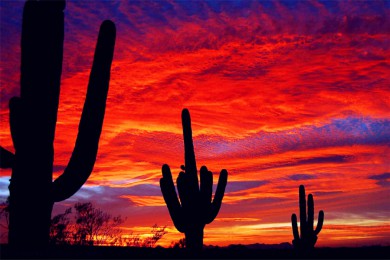 Ľǵؼ·: [13] ++Ͽ+ʤ+ʮ壬Ŀѡһ|LAXͻ