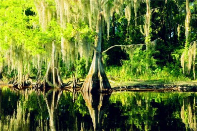 ����������������·: [��ң9����] ŦԼ+��ʢ��+���Ǽ����ٲ�+������+��������ҹ�԰+������|��������Ʒ��֮��