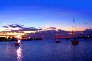 Ÿ꺣̲·: [5] ʥ+ӫ+ȸɭ+|ӫ⺣зۣ⺣ԡǱˮ