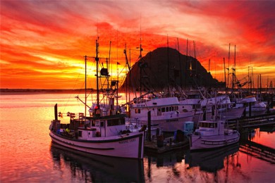 ·: [ȫ10] ɼ+ʥǸ+ɽɽ+˹ά˹+Ͽ+ʮ|Ϻֱλ