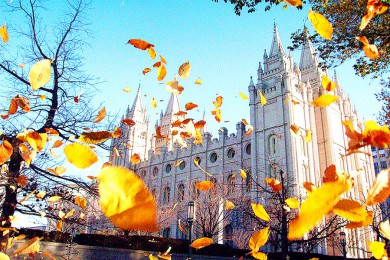 [ʯ7] ɼ+˹ά˹+Ѩ+Źҹ԰+κ+ʯҹ԰+ٹҹ԰+˹Ͽȹҹ԰| 򿨵ҹ԰