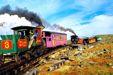 ʯ·: [6] ʿ+ɽׯ+ɽɭ+é˹+С|κͷ㣬ϺϺ