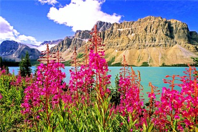 ô·: [ôɽ8]¸绪+ܽҹ԰+˹ҹ԰+ױǱ+ź׹ҹ԰+¶