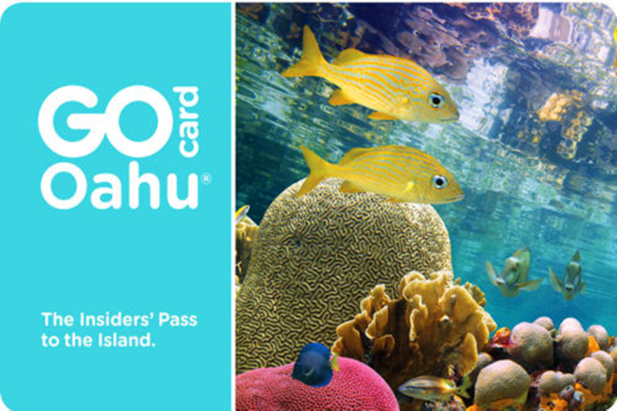  Go Oahu Card