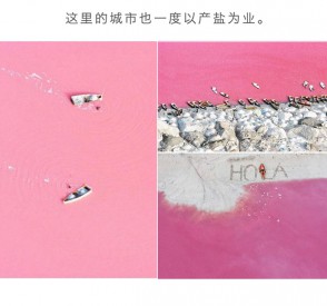 ../static/picture/detail_95_5d1175e04b88d1.jpg