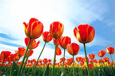 ·: [ʯӢѰ2] ±ڹ۹⣬ʯӢ󳡲ɿ|ɫ