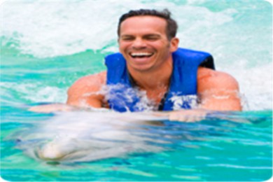 뺣Ӿ·: [1] Sea Life Park Hawaii -Dolphin Swim ԰뺣Ӿ