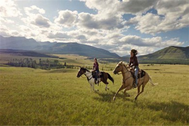 ·: Ƥ¹ Ӣ|Waipio on Horseback: Mountain to Ocean Working Cattle Ranch