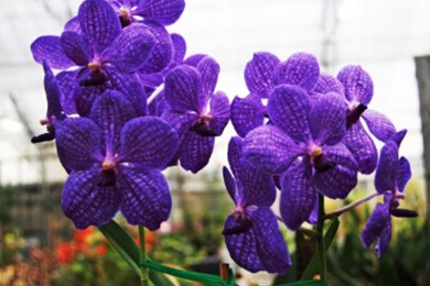 ·: [6] ŷ+ɽ+ï˵+⵺Ʊɫͣ˵Ĳ