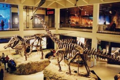 ܶٳر·: [˫6] ˹+°¶+ʥ+˹͡+˹+˹|ʿ־ưɣסƵ