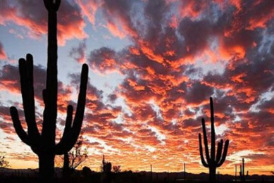 Ľǵؼ·: [ů8] ֮ãɳż+Ѩ+˳ǣʯ