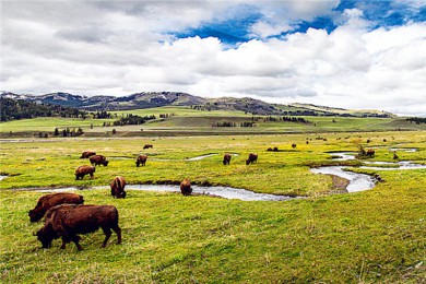 繰·: [15] ɽɽ+ʯ԰++Ѩ+Ͽ+ī|ȫ֮