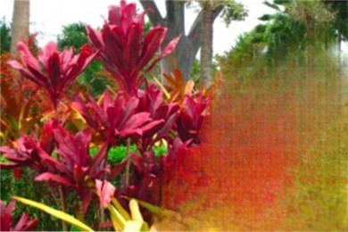 ·: [1] ŷ++亣̲+ֲֲ԰|14Сŷ֮