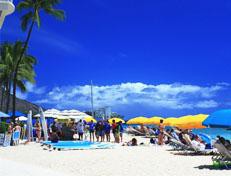 ŦԼ복վ·: [20227] ѳ+ʢ+Ǽٲ+ʿ |ŦԼͣʱ㳡ȫĿ